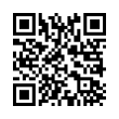 QR Code (код быстрого отклика)