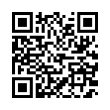 QR Code (код быстрого отклика)