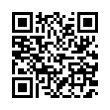 QR Code (код быстрого отклика)