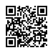 QR Code (код быстрого отклика)