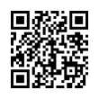 QR Code (код быстрого отклика)