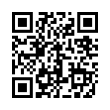 QR Code (код быстрого отклика)