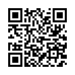 QR Code (код быстрого отклика)