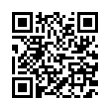 QR Code (код быстрого отклика)