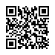 QR Code (код быстрого отклика)