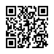 QR Code (код быстрого отклика)