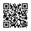 QR Code (код быстрого отклика)