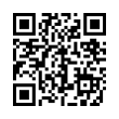 QR Code (код быстрого отклика)