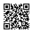 QR Code (код быстрого отклика)