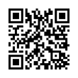 QR Code (код быстрого отклика)