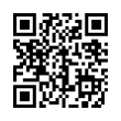 QR Code (код быстрого отклика)