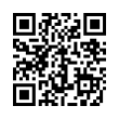 QR Code (код быстрого отклика)