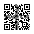 QR Code (код быстрого отклика)