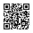 QR Code (код быстрого отклика)