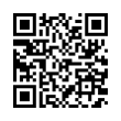 QR Code (код быстрого отклика)