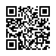 QR Code (код быстрого отклика)