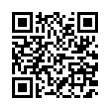 QR Code (код быстрого отклика)