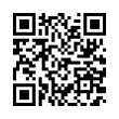 QR Code (код быстрого отклика)