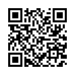 QR Code (код быстрого отклика)