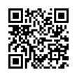 QR Code (код быстрого отклика)