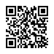 QR Code (код быстрого отклика)