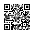 QR Code (код быстрого отклика)