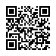 QR Code (код быстрого отклика)