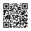 QR Code (код быстрого отклика)