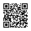 QR Code (код быстрого отклика)