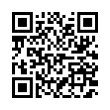 QR Code (код быстрого отклика)