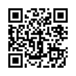 QR Code (код быстрого отклика)