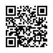 QR Code (код быстрого отклика)