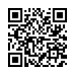 QR Code (код быстрого отклика)