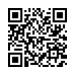 QR Code (код быстрого отклика)