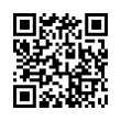 QR Code (код быстрого отклика)