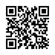 QR Code (код быстрого отклика)