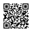 QR Code (код быстрого отклика)