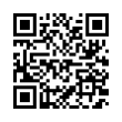 QR Code (код быстрого отклика)