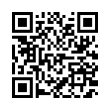 QR Code (код быстрого отклика)