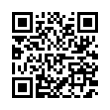 QR Code (код быстрого отклика)