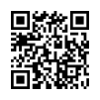 QR Code (код быстрого отклика)