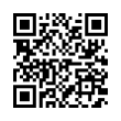 QR Code (код быстрого отклика)