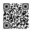 QR Code (код быстрого отклика)