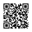 QR Code (код быстрого отклика)