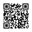 QR Code (код быстрого отклика)