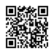 QR Code (код быстрого отклика)