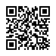 QR Code (код быстрого отклика)