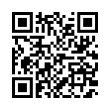 QR Code (код быстрого отклика)