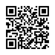 QR Code (код быстрого отклика)