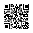 QR Code (код быстрого отклика)